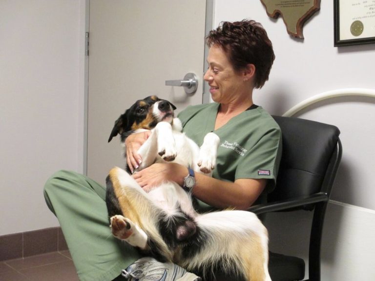Meet Veterinary Behaviorist Dr. Lore Haug Michael's Dogs Behavior Group